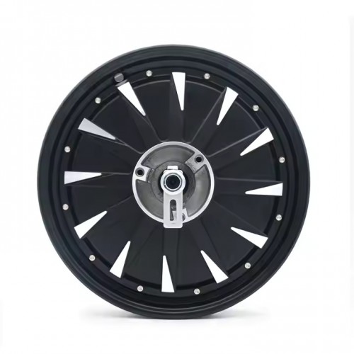 12-inch 1kw BLDC wheel racing motorpicture2