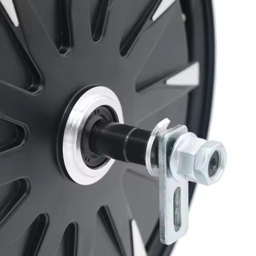 12-inch 1kw BLDC wheel racing motorpicture3
