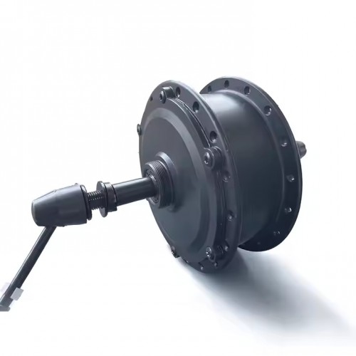 180W 250W 350W 36V 48V Rear Electric Bike Gear Brushless Hub Motor 16 in.picture4