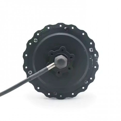 180W 250W 350W 36V 48V Rear Electric Bike Gear Brushless Hub Motor 16 in.picture5