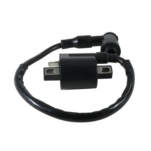 Ignition Coil CDI Engine Starter FBT for Yamaha CW50 CY50 EW50 YH50 TTR90 TTR125 4KJ-82310-00 3KJ-82310-10picture5