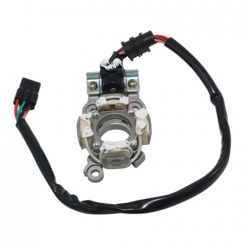 Stator Coil Magneto Engine Stator Rotor Coil for Yamaha YZ450 YZ450F 2S2-85560-00 2S2-85560-01 2S2-85560-10picture4