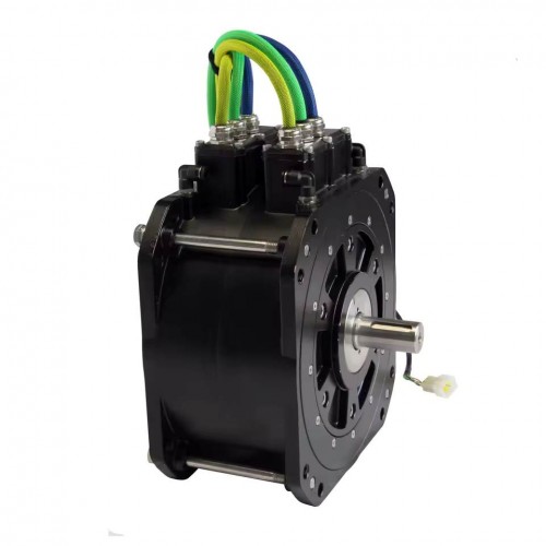 72V 20KW Electric Buggy Motor PMSM Motorpicture3