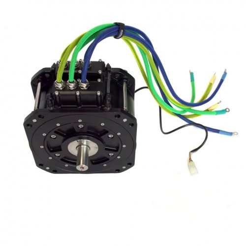 72V 20KW Electric Buggy Motor PMSM Motorpicture4