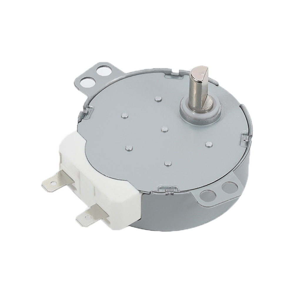 Micro Permanent Magnet Synchronous motor 49TYJ-CIV 220V for Dishwasher