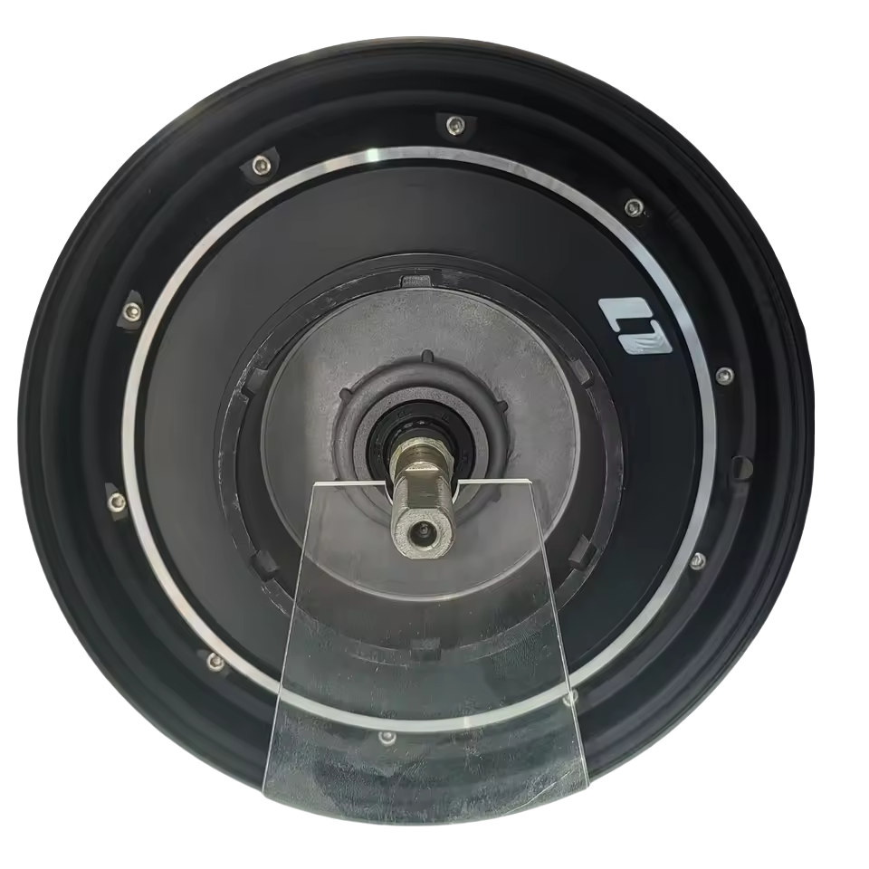 12 Inch 48V Brushless Gearless Hub Motor Electric Bike 1000W