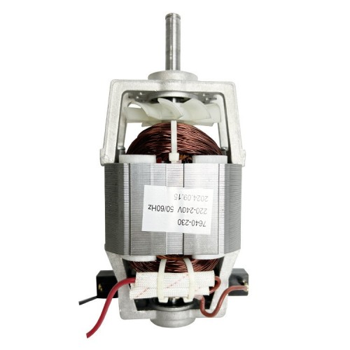 Single-phase series motor for food processor