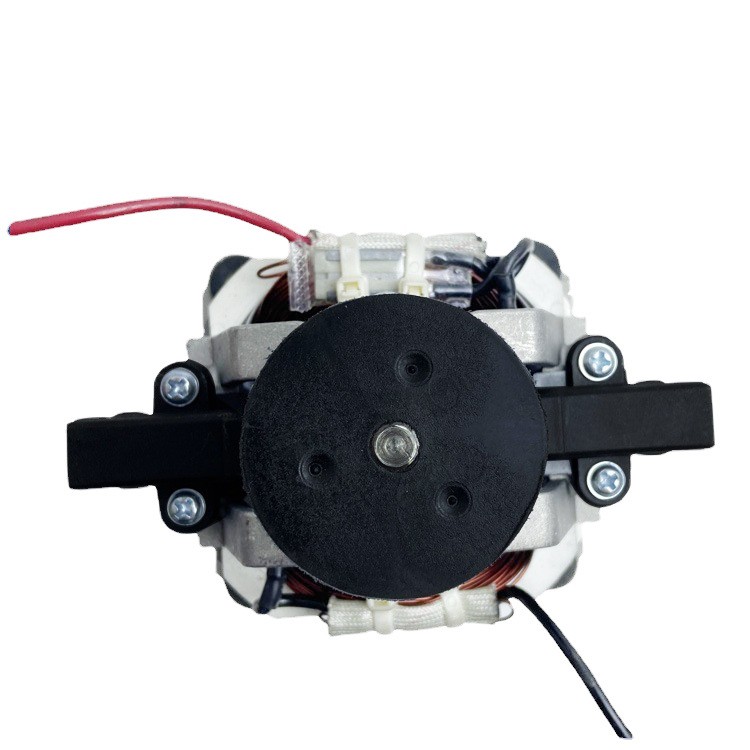 Series-excited silent constant speed high power and large capacity commercial household food processor motor