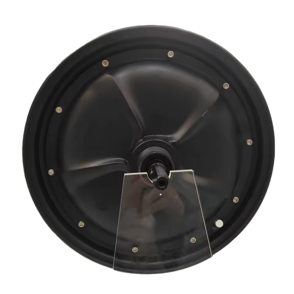 10/14 inch 48V 350W BLDC hub motor electric motorcycle electric scooter