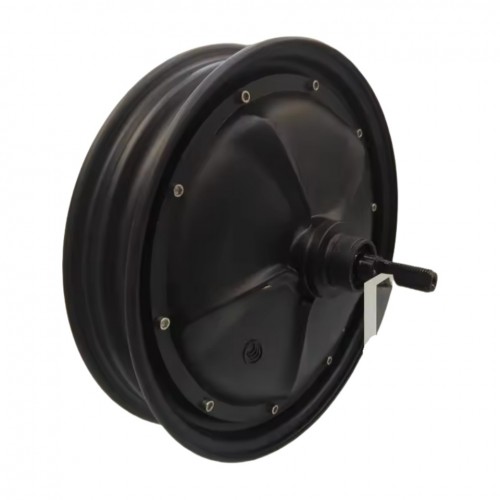 10/14 inch 48V 350W BLDC hub motor electric motorcycle electric scooterpicture3