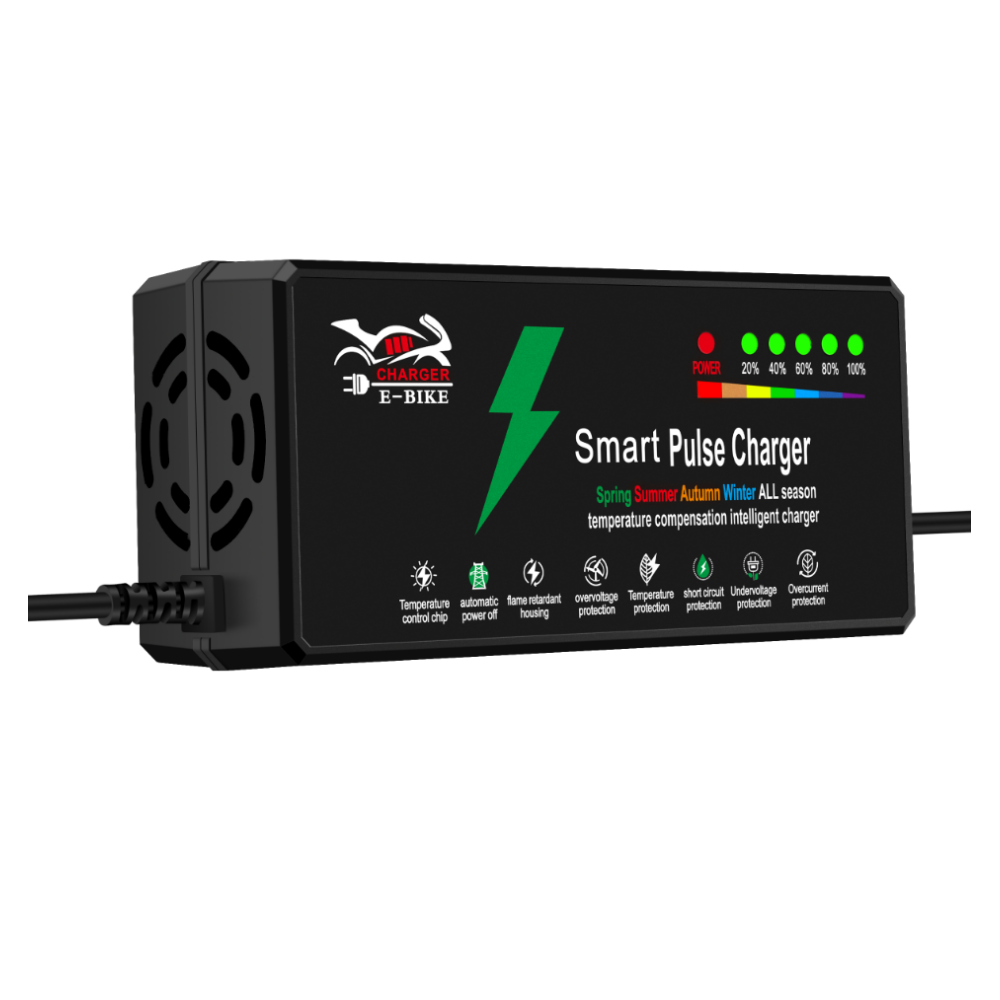 Lead-acid battery charger 48V 12Ah electric bicycle 110V 220VAC