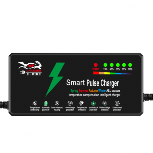 Lead-acid battery charger 48V 12Ah electric bicycle 110V 220VACpicture2