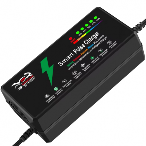 Lead-acid battery charger 48V 12Ah electric bicycle 110V 220VACpicture3