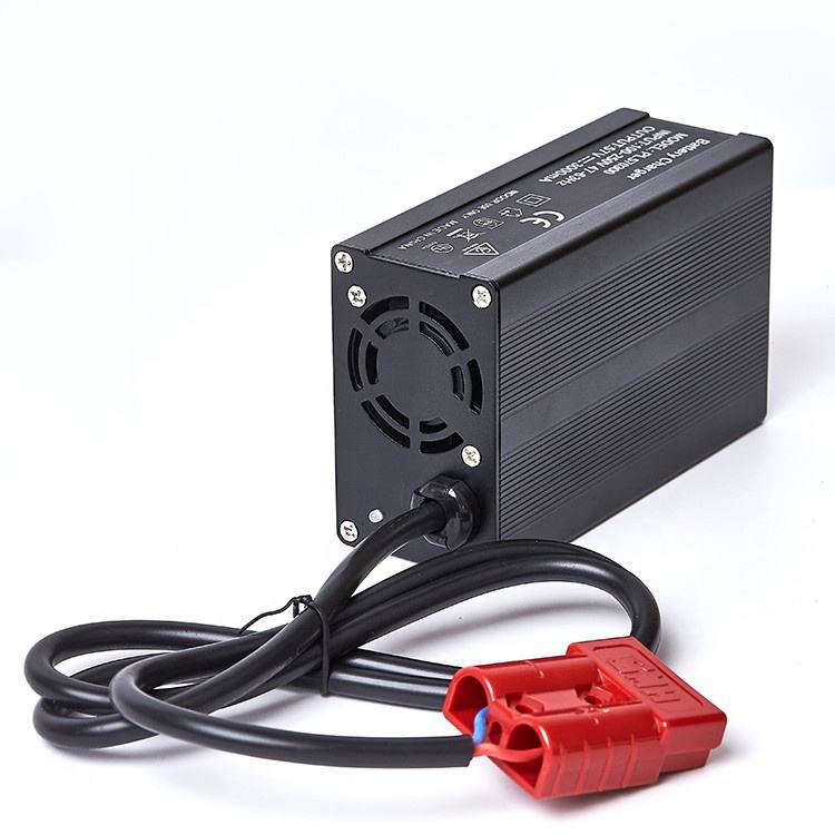 250W Smart Battery Charger 12V 24V Motorcycle Electric Bicycle