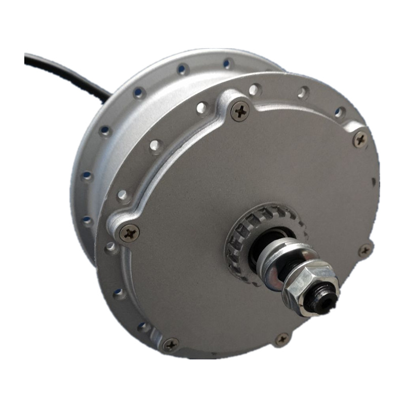 Brushless Geared DC 250W Electric Vehicle Hub Spoke Motor