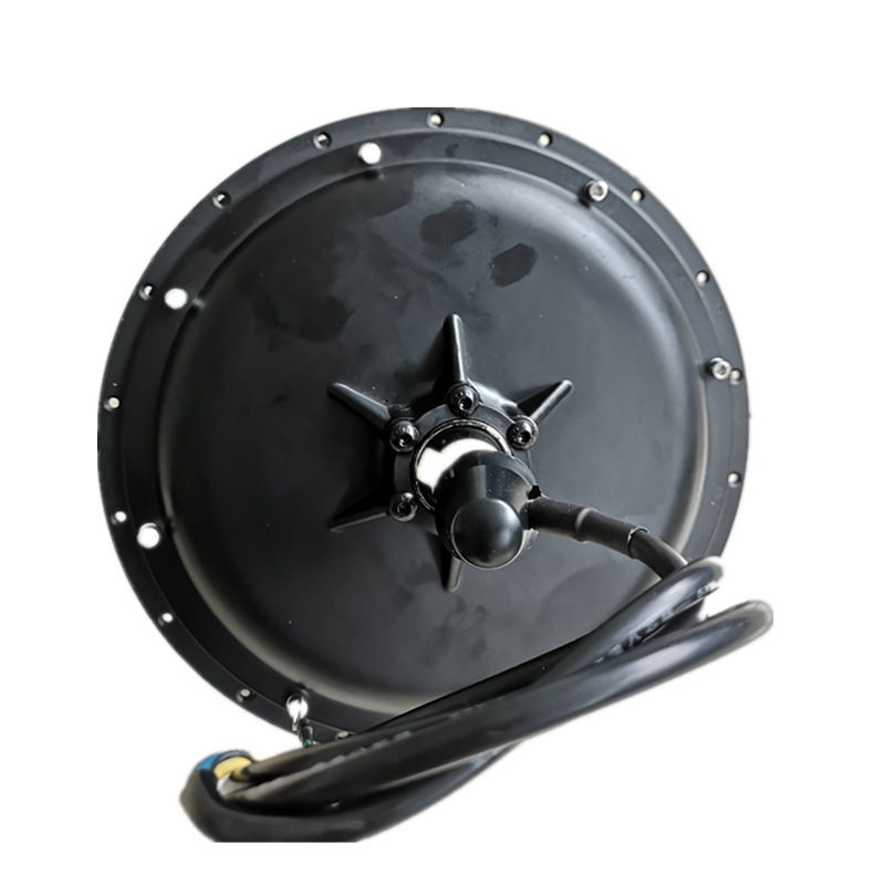 1000W Brushless DC Hub Spoke Motor Electric Bicycle