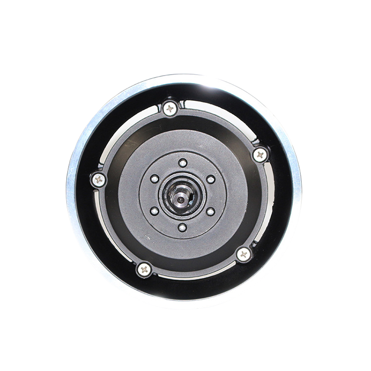 8-inch brushless geared hub motor scooter 180-500W