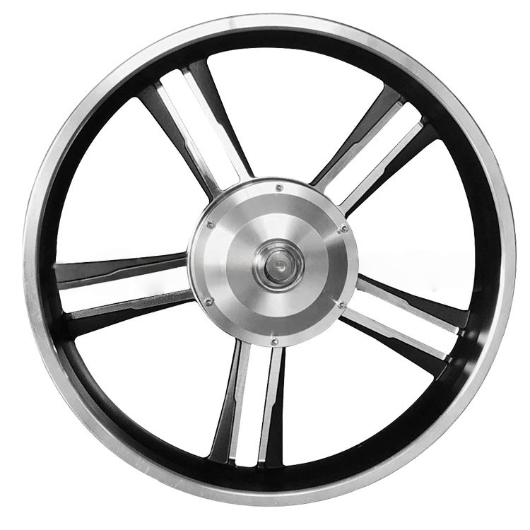 20-inch 96V 800W Rear-Drive Disc Brake Spoke Snow-Ready Geared Motor