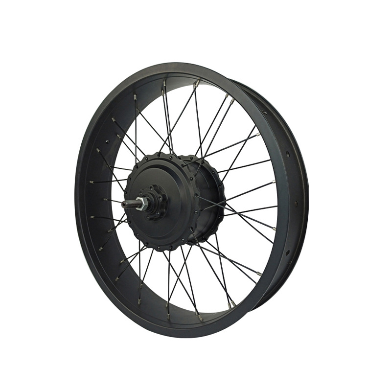 48V 1000W Balance Bike Motor Scooter Hub Motor Electric Bike