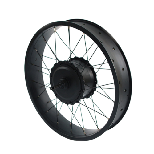 48V 350W High-Power DC Hub Motor for Bicycles with Brushless Reductionpicture2