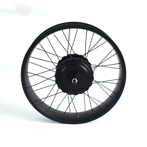 48V 350W High-Power DC Hub Motor for Bicycles with Brushless Reductionpicture5