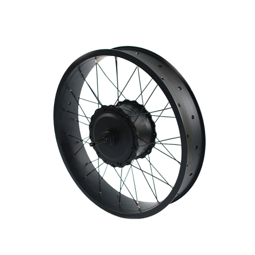 48V High-Power Torque DC Hub Motor for Bicycles with Brushless Reductionpicture2