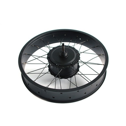 48V High-Power Torque DC Hub Motor for Bicycles with Brushless Reductionpicture5