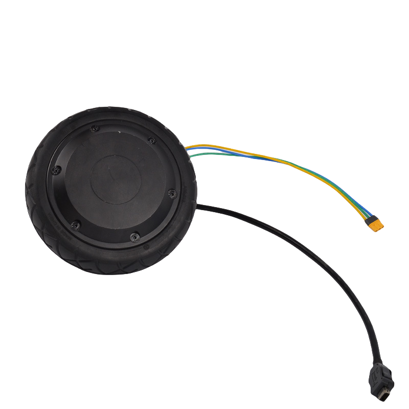 5.5-inch magnetic encoder motor scooter balance wheel hub motor 24V motor