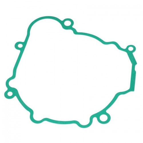 Motorcycle Stator Magneto Generator Cover Gasket for Beta RR 250 300 2T RACING 2T 026010530000picture2