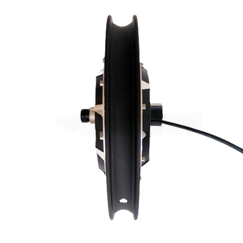 Electric Vehicle Hub Motor 14-inch Disc Brake Lithium-ion Brushless Motorpicture4