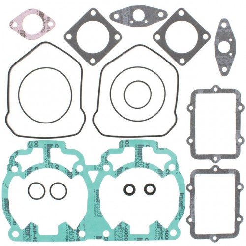Gasket Set for Ski-Doo MX Z 440 Racing LC 2006-2007 710258