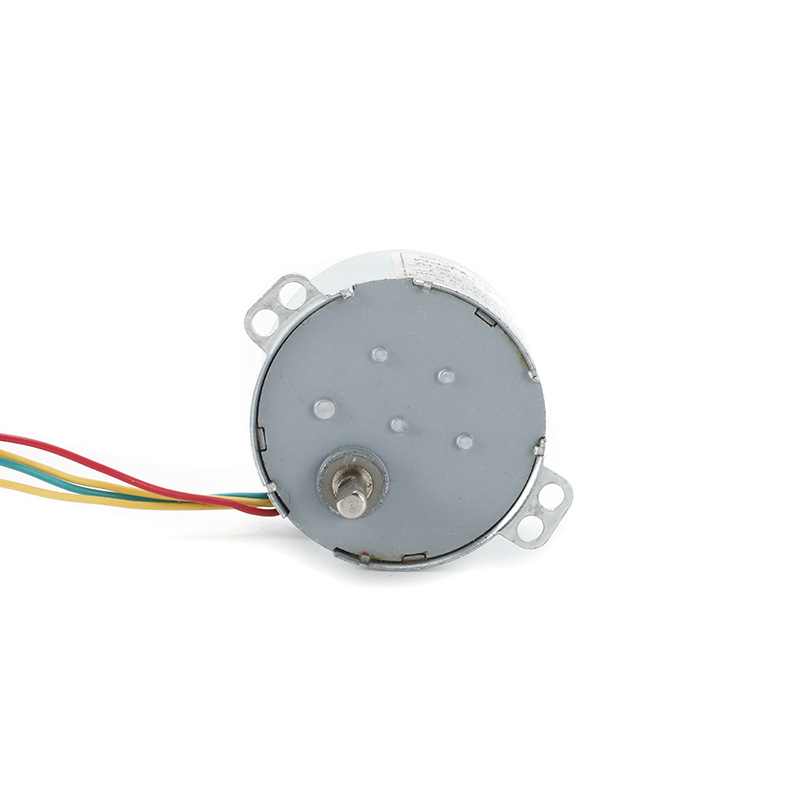 Micro Synchronous Motor AC 220V 5/6 RPM