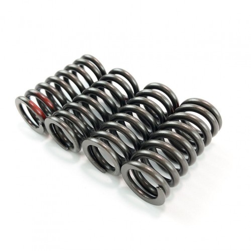 Motorcycle Intake and Exhaust Valve Spring for ZS177MM ZONGSHEN Engine NC250 KAYO BSE 4 Valves Parts