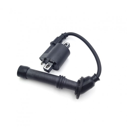 Off-road Motorcycle Engine Parts Ignition Coil for ZONGSHEN NC250S NC300Spicture2