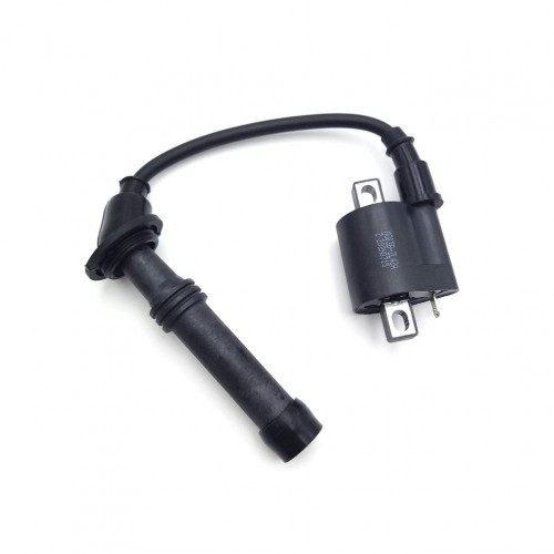 Off-road Motorcycle Engine Parts Ignition Coil for ZONGSHEN NC250S NC300Spicture3