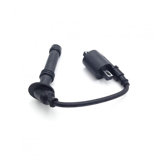 Off-road Motorcycle Engine Parts Ignition Coil for ZONGSHEN NC250S NC300Spicture4