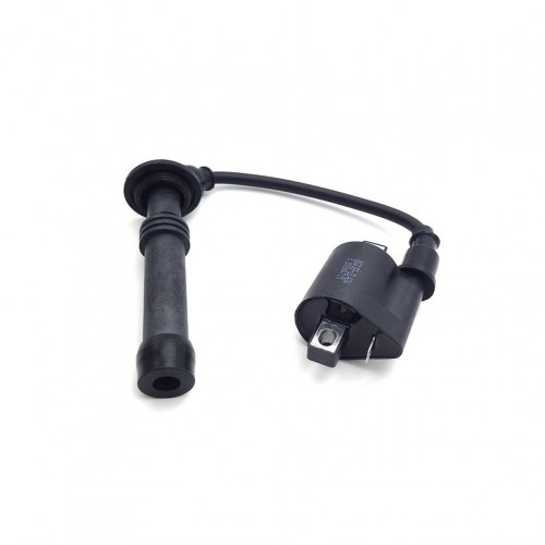 Off-road Motorcycle Engine Parts Ignition Coil for ZONGSHEN NC250S NC300Spicture5
