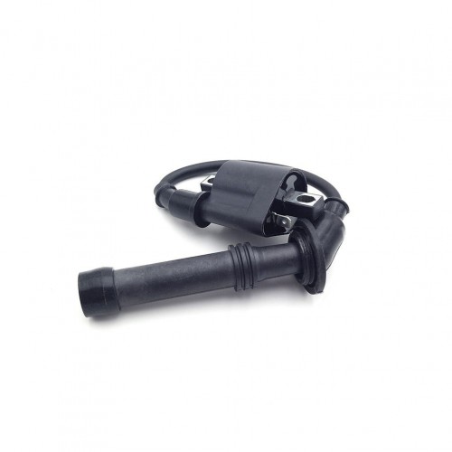 Off-road Motorcycle Engine Parts Ignition Coil for ZONGSHEN NC250S NC300Spicture6