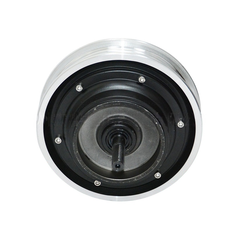 10-inch Balance Bike 36V Hub Motor 200W-250W