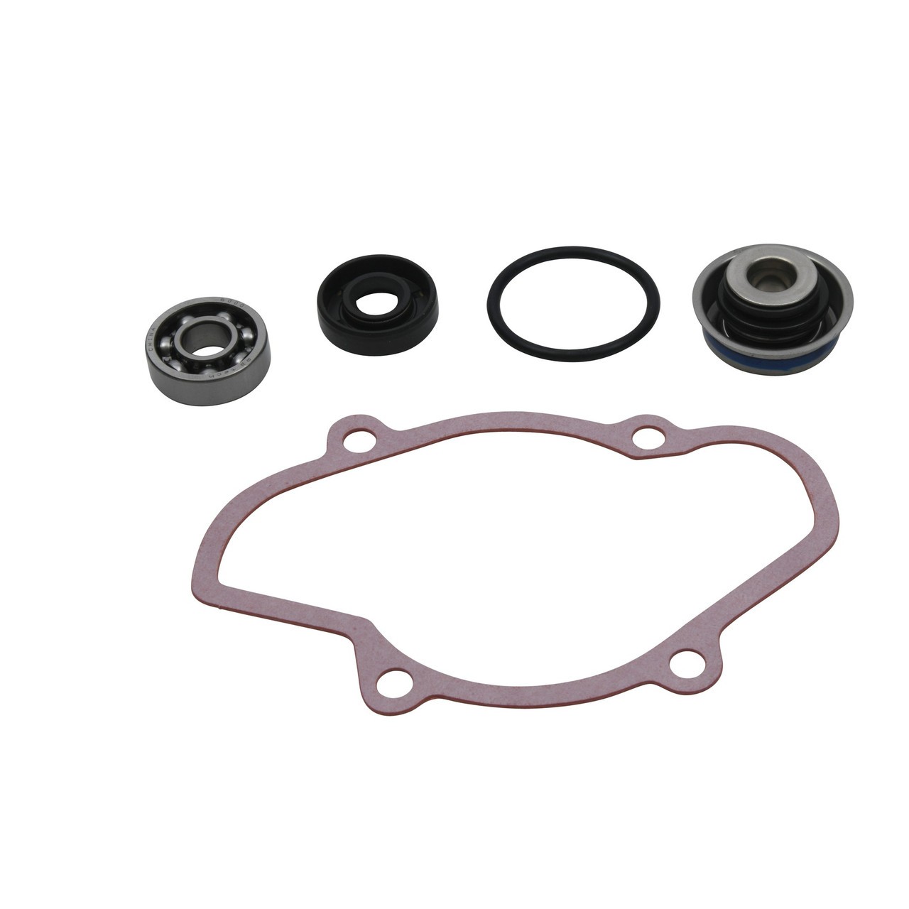 Water Pump Repair Kit 721312 for Ski-Doo Summit Freeride 800R (2011)