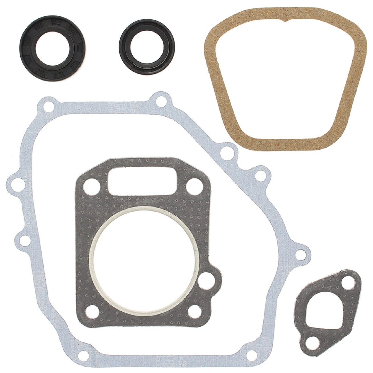 Gasket Kit with Oil Seals for Ski-Doo Mini Z / 4 Cycle 1998-2008 711257
