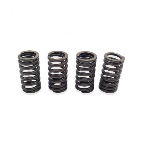 Motorcycle Engine Parts For ZONGSHEN ZS174MN-5 NB300 Intake Exhaust Valve Spring