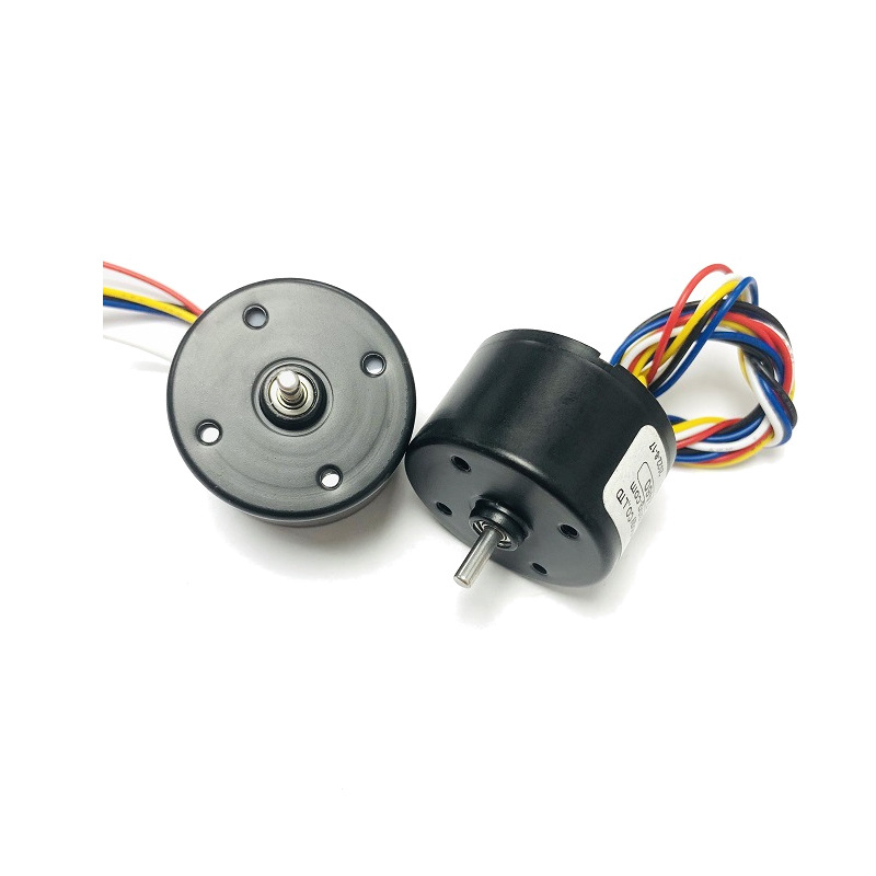 Brushless DC Motor 24V 6000RPM