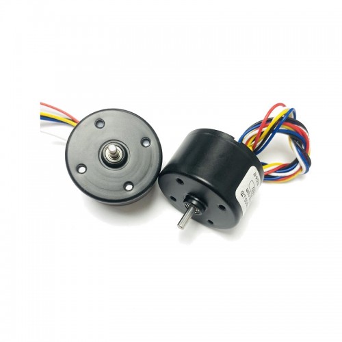 Brushless DC Motor 24V 6000RPM
