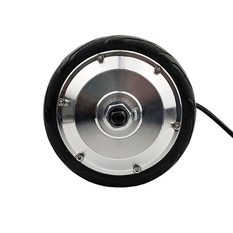 24V 350W 6.5-inch High Torque 170mm Dual-Shaft Hub Motor Brushless