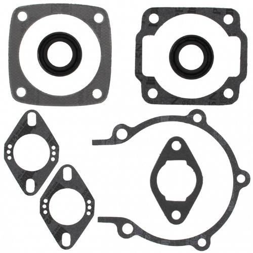 Gasket Kit with Oil Seals for Ski-Doo Olympique 300 1967-1969 300cc 711021