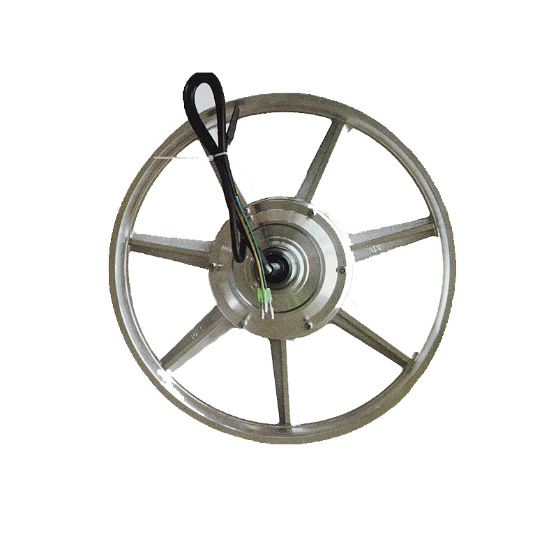 Integrated Wheel Brushless Gearless Mountain Bike Motor