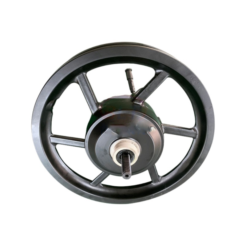 Brushless DC 14-inch integrated wheel 24V electric vehicle motor