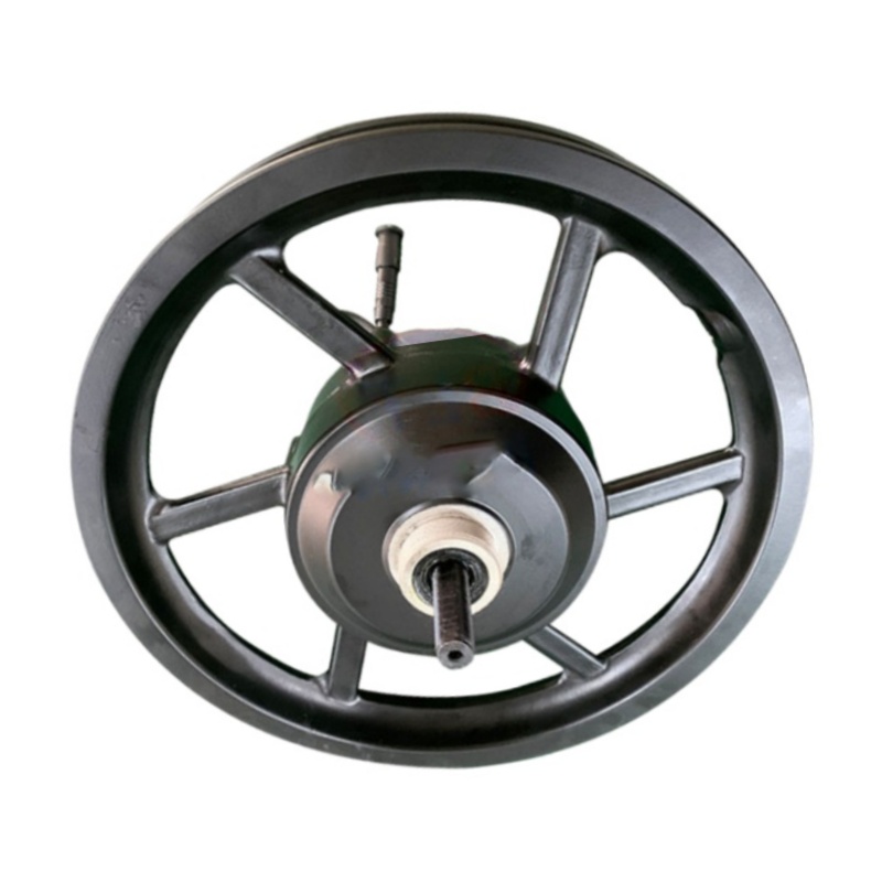 Brushless DC 14-inch 48V integrated wheel electric vehicle motor