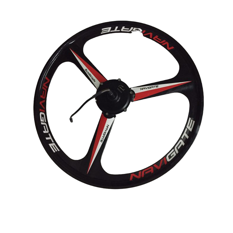 20-inch 36V brushless hub electric vehicle motor